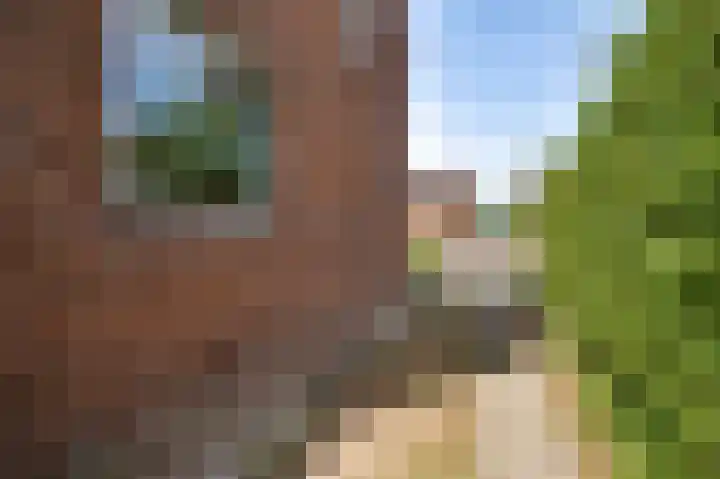Groenstraat 17 Roggel thumbnail 5