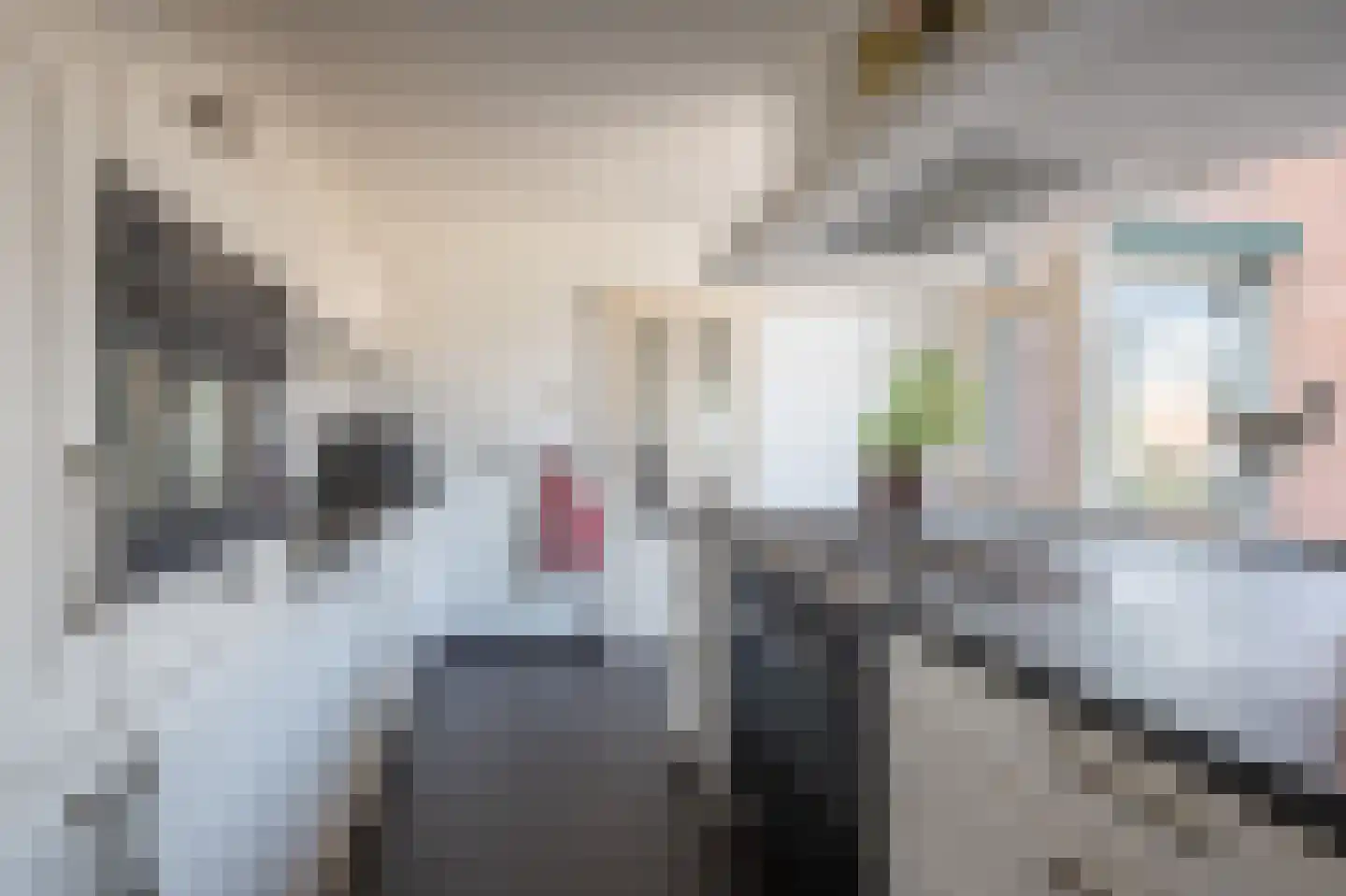 Groenstraat 18 Linne thumbnail 11