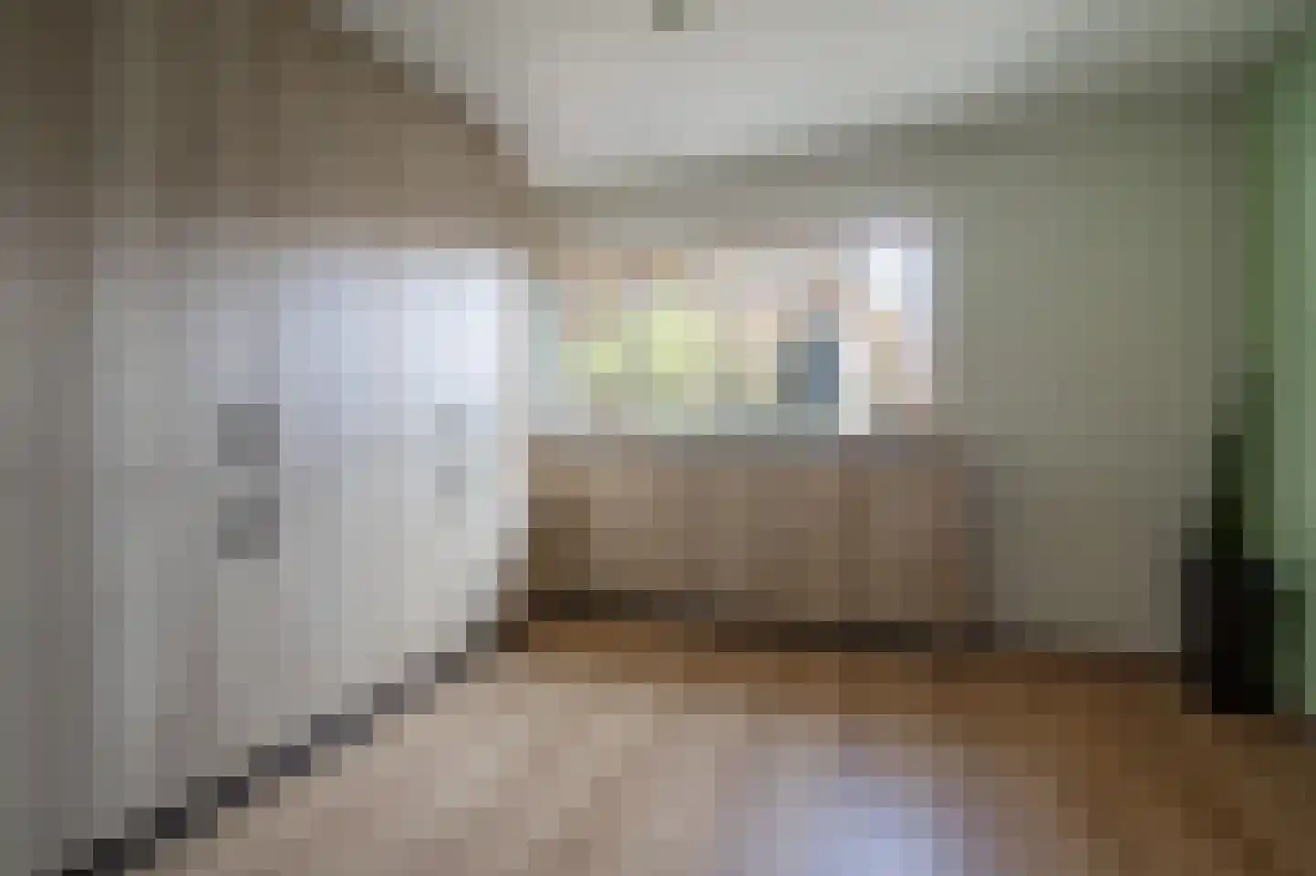 Groenstraat 18 Linne thumbnail 12