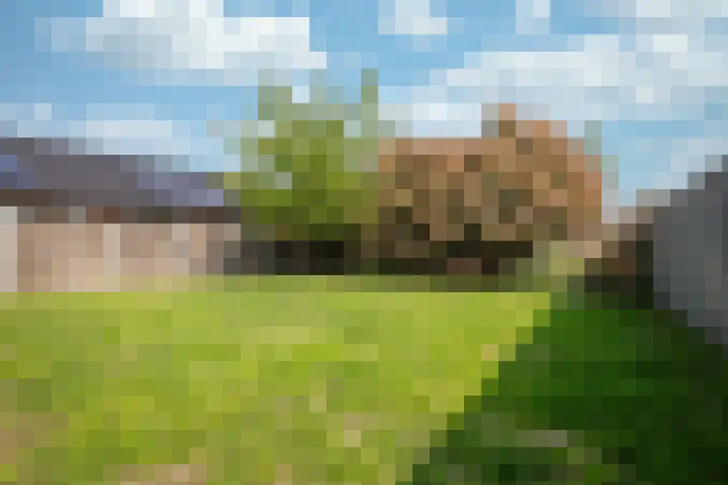 Groenstraat 18 Linne thumbnail 24