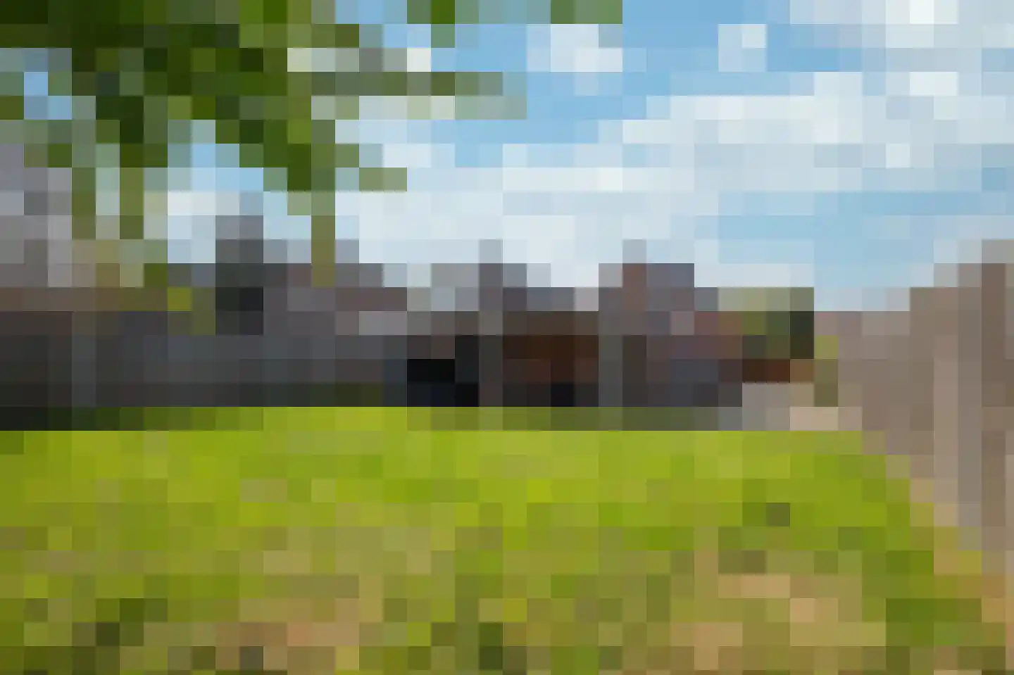Groenstraat 18 Linne thumbnail 25