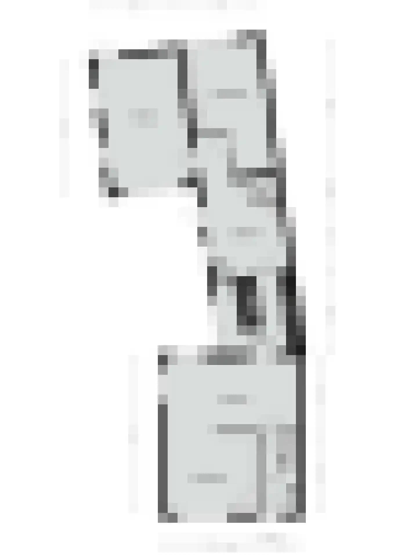 Groenstraat 18 Linne thumbnail 30