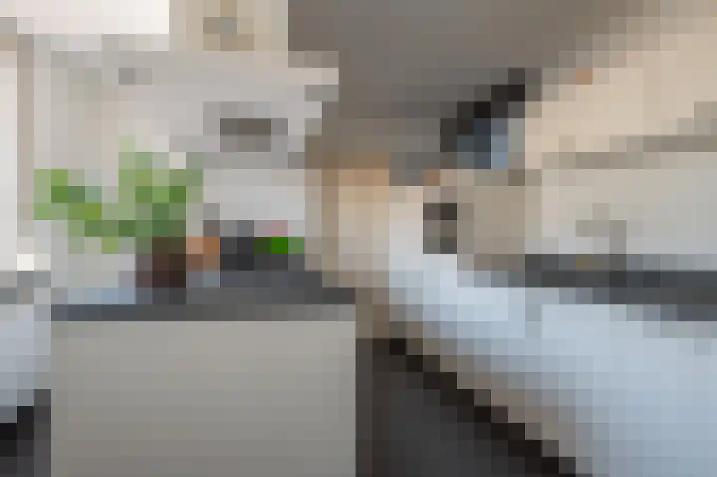 Groenstraat 18 Linne thumbnail 9