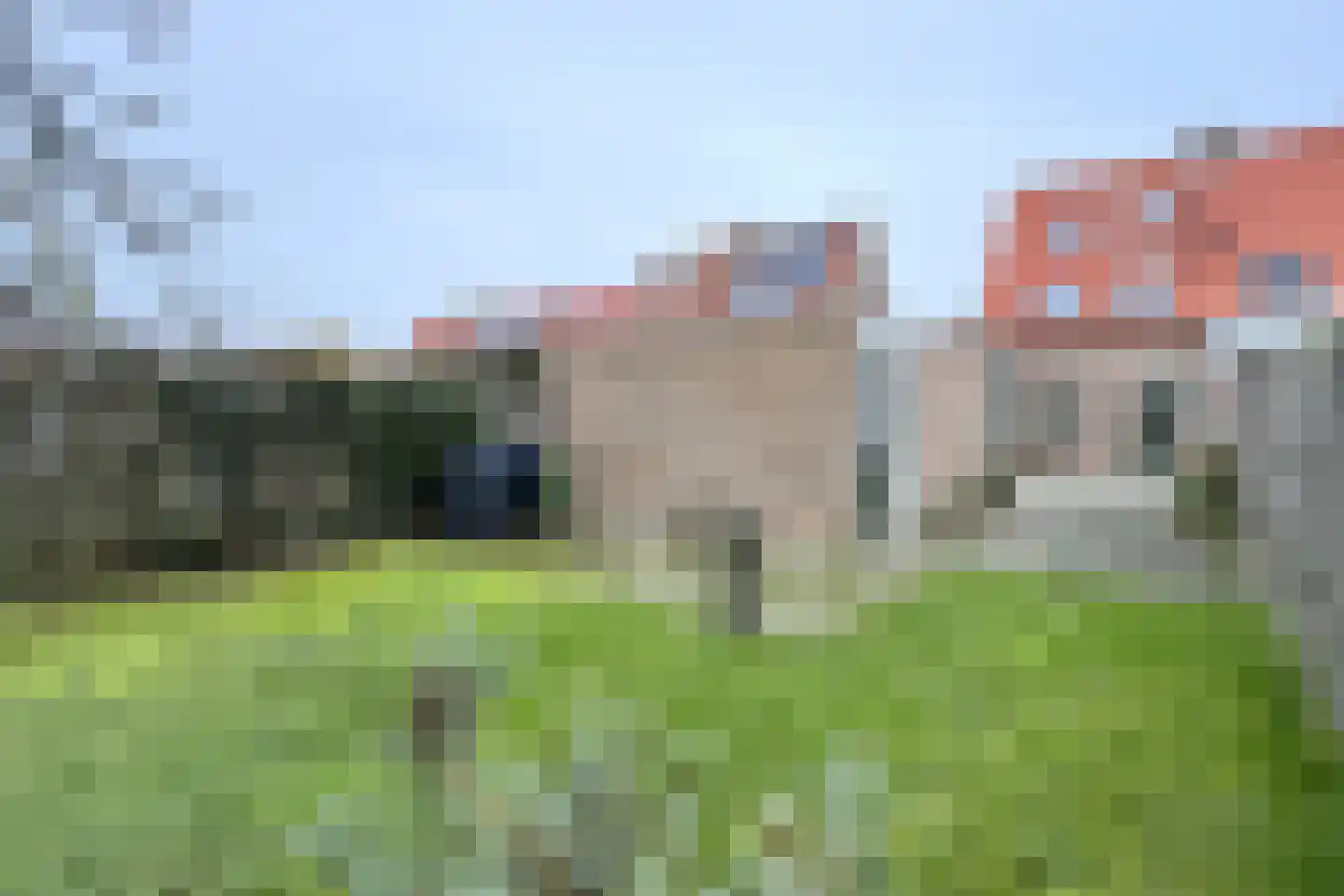 Groenstraat 18 Willemstad thumbnail 6