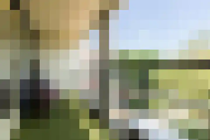 Groenstraat 184 Helmond thumbnail 33