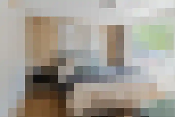 Groenstraat 186 Tilburg thumbnail 15