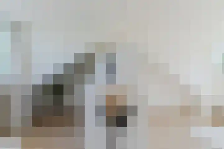 Groenstraat 186 Tilburg thumbnail 29
