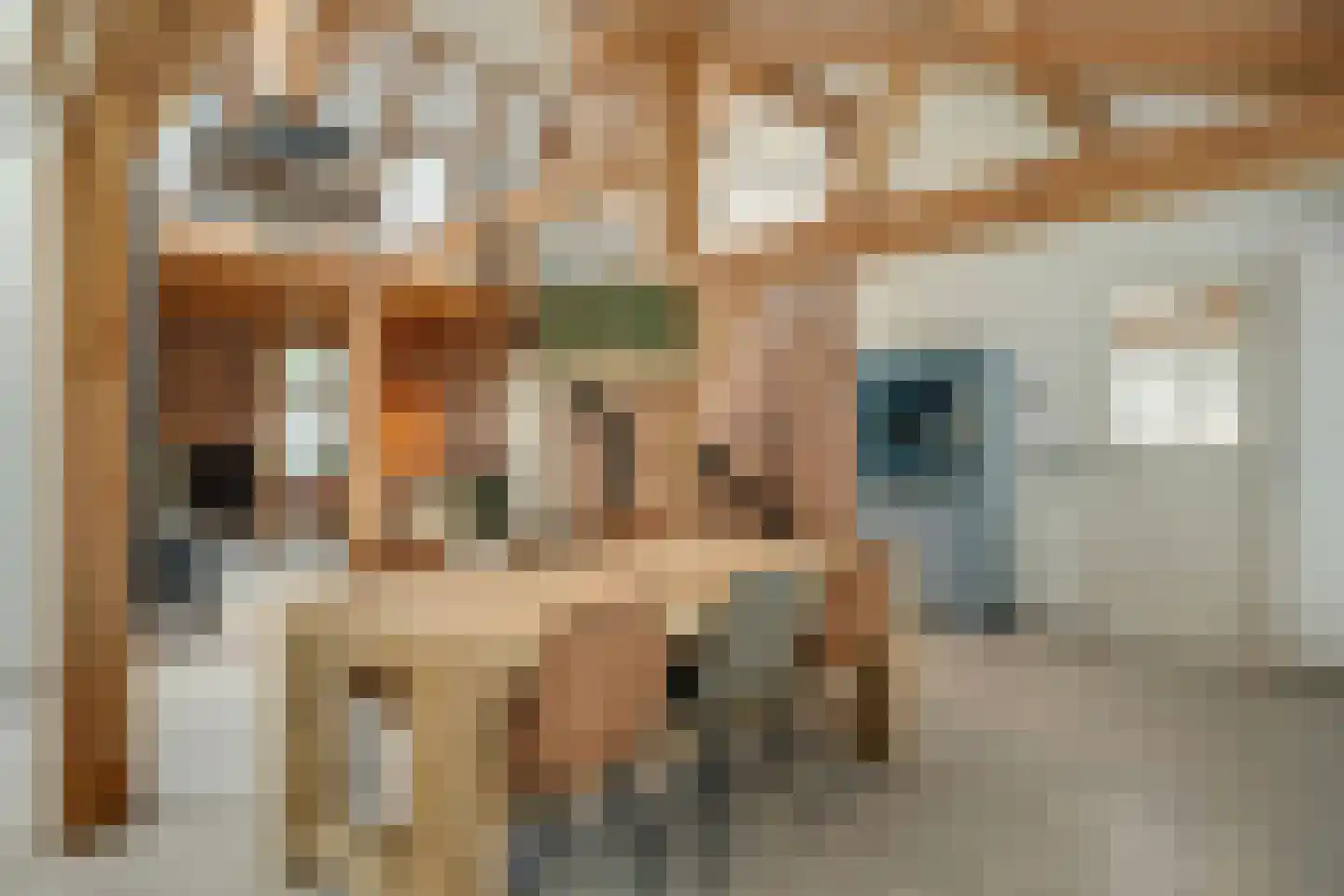 Groenstraat 19 Esbeek thumbnail 15