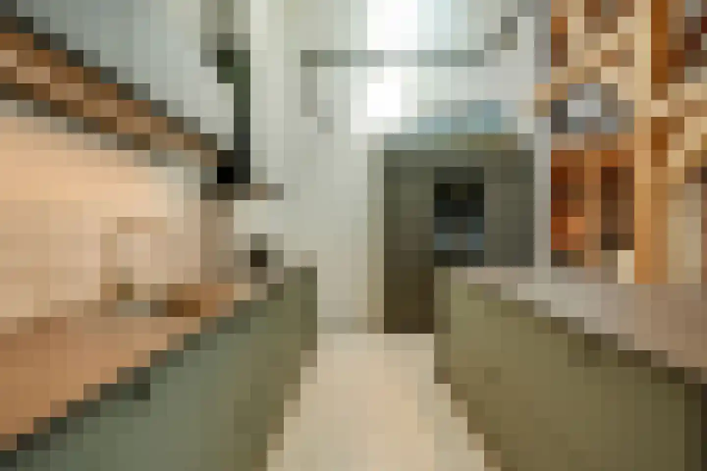 Groenstraat 19 Esbeek thumbnail 17