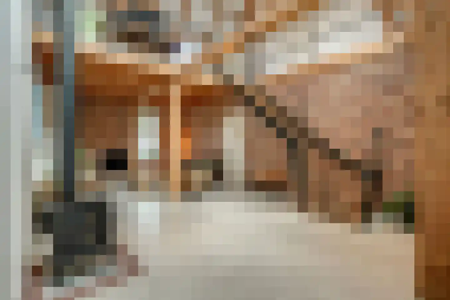 Groenstraat 19 Esbeek thumbnail 20