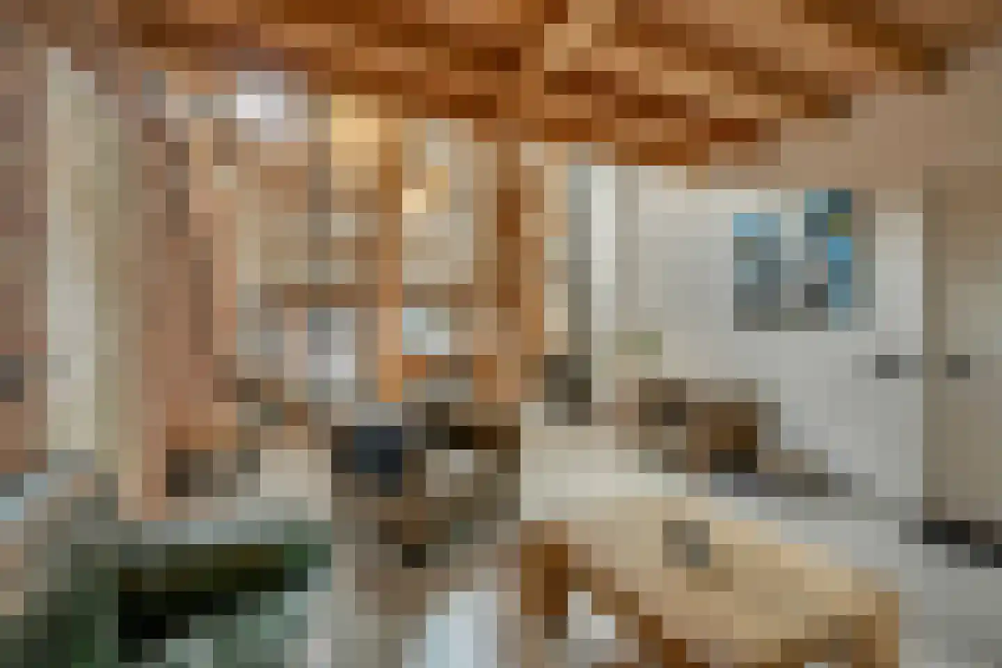 Groenstraat 19 Esbeek thumbnail 22