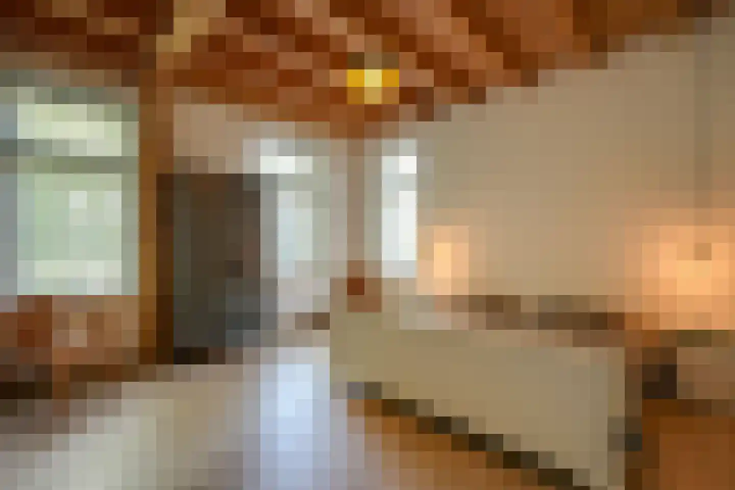 Groenstraat 19 Esbeek thumbnail 24