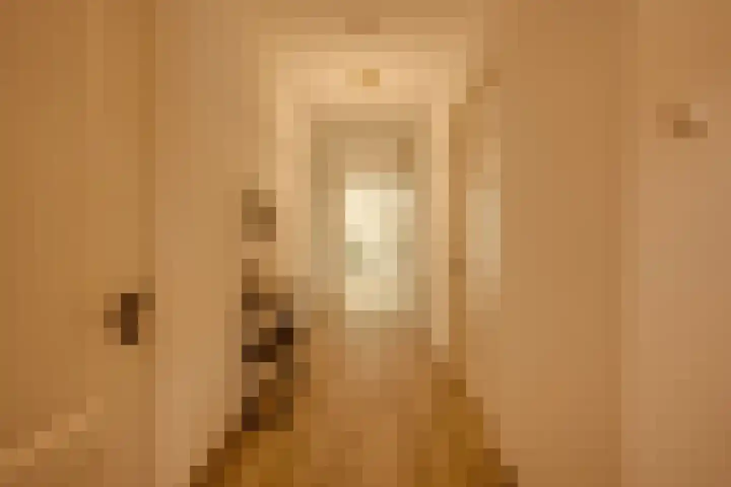 Groenstraat 19 Esbeek thumbnail 37