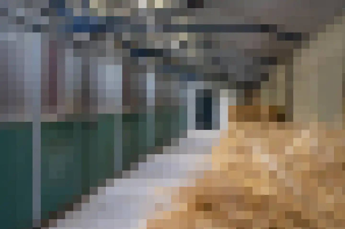 Groenstraat 19 Esbeek thumbnail 4