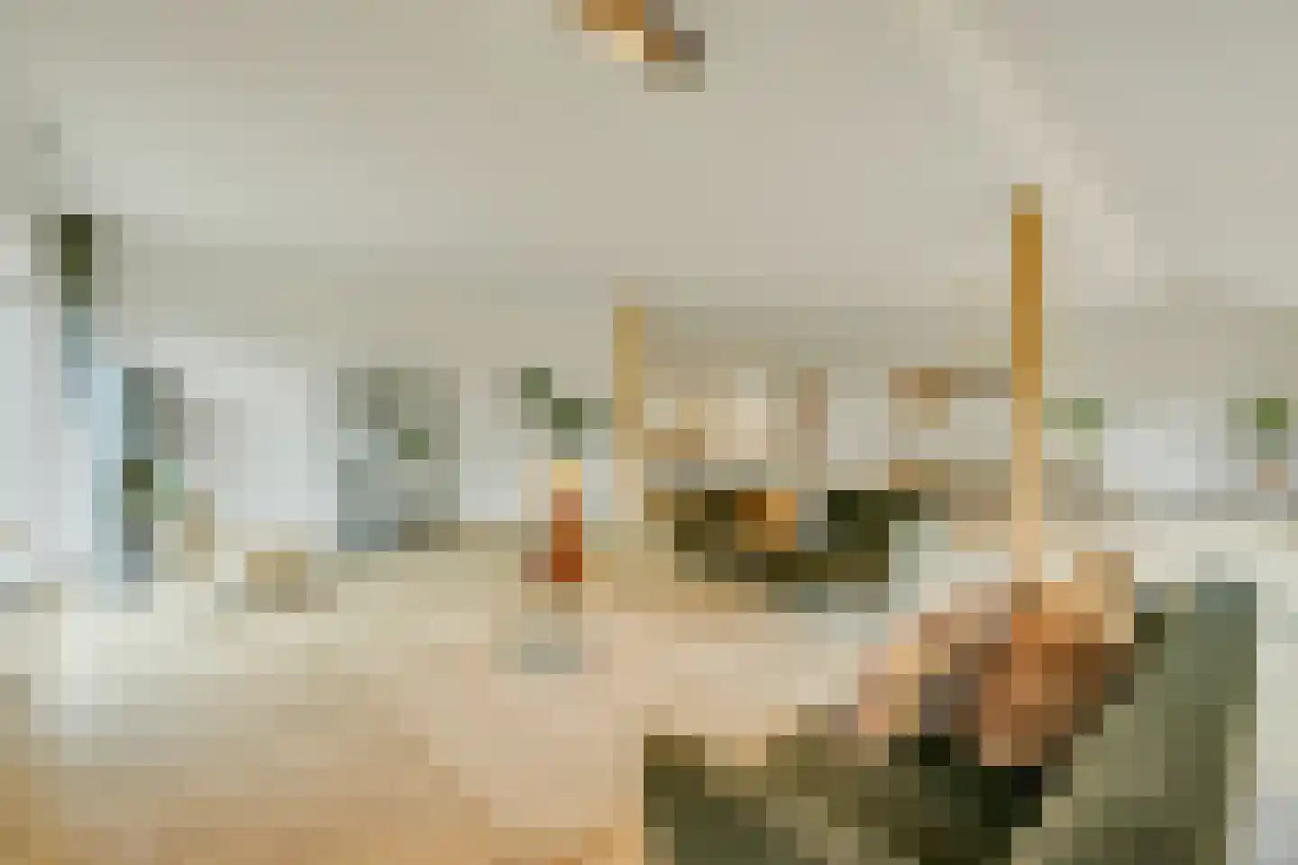 Groenstraat 19 Esbeek thumbnail 48