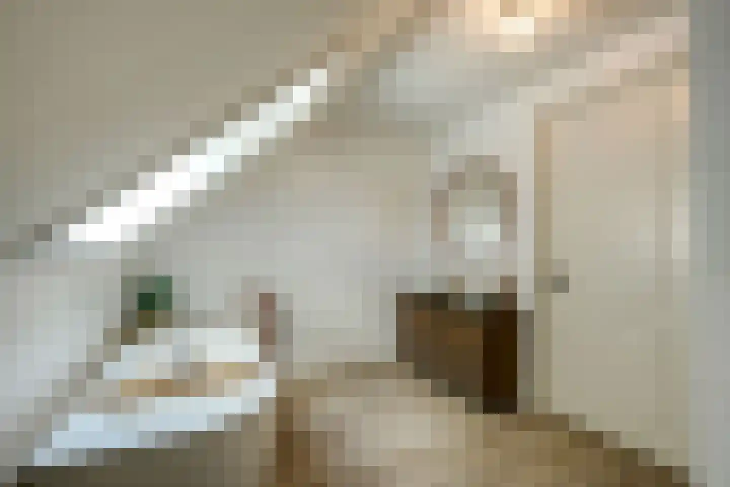 Groenstraat 19 Esbeek thumbnail 58