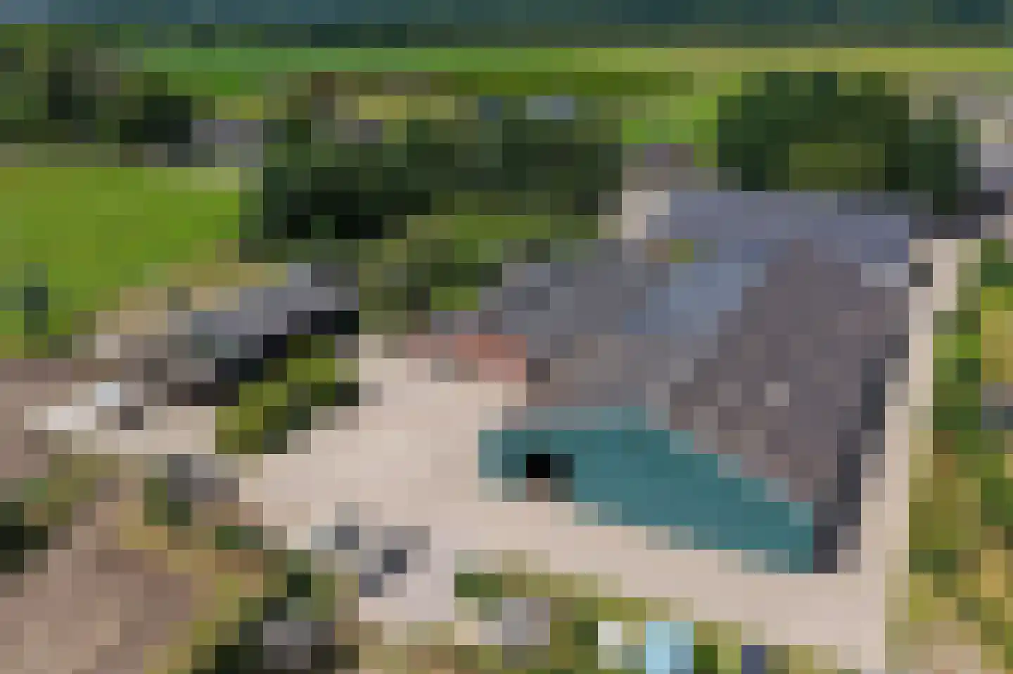 Groenstraat 19 Esbeek thumbnail 69