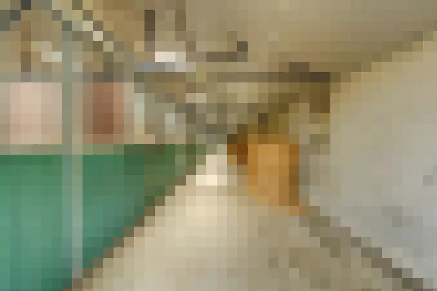 Groenstraat 19 Esbeek thumbnail 71