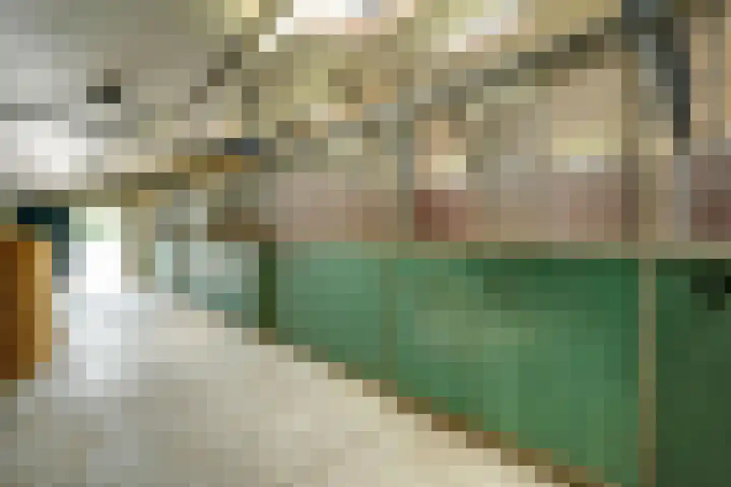 Groenstraat 19 Esbeek thumbnail 72