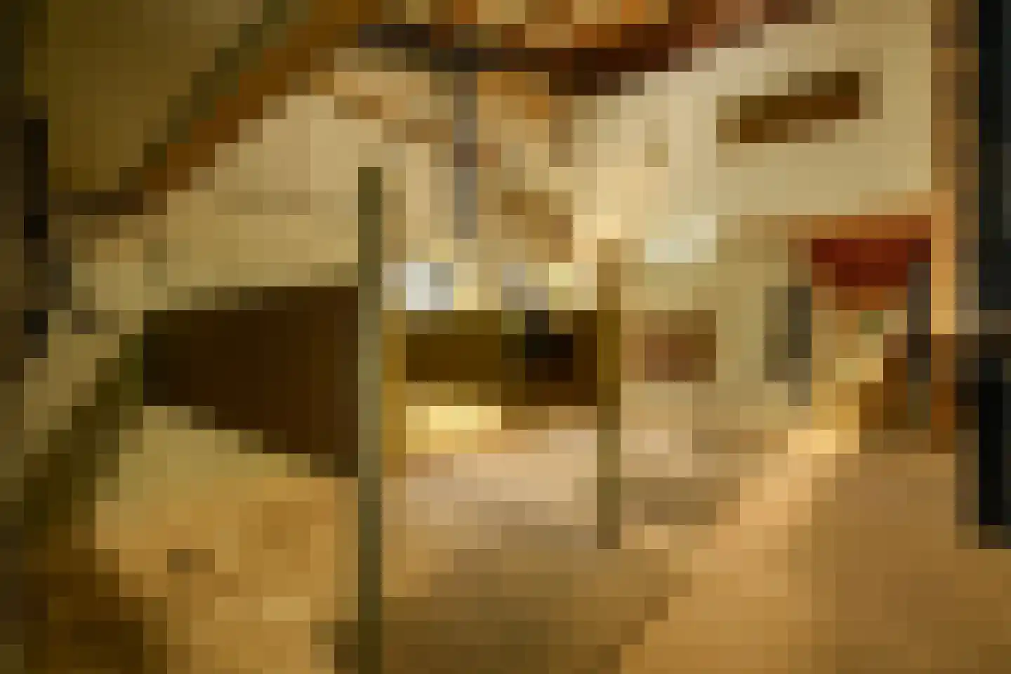 Groenstraat 19 Esbeek thumbnail 80