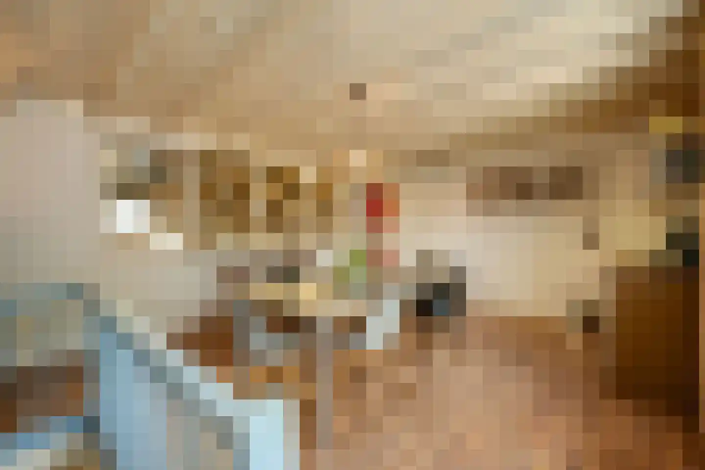 Groenstraat 19 Esbeek thumbnail 82