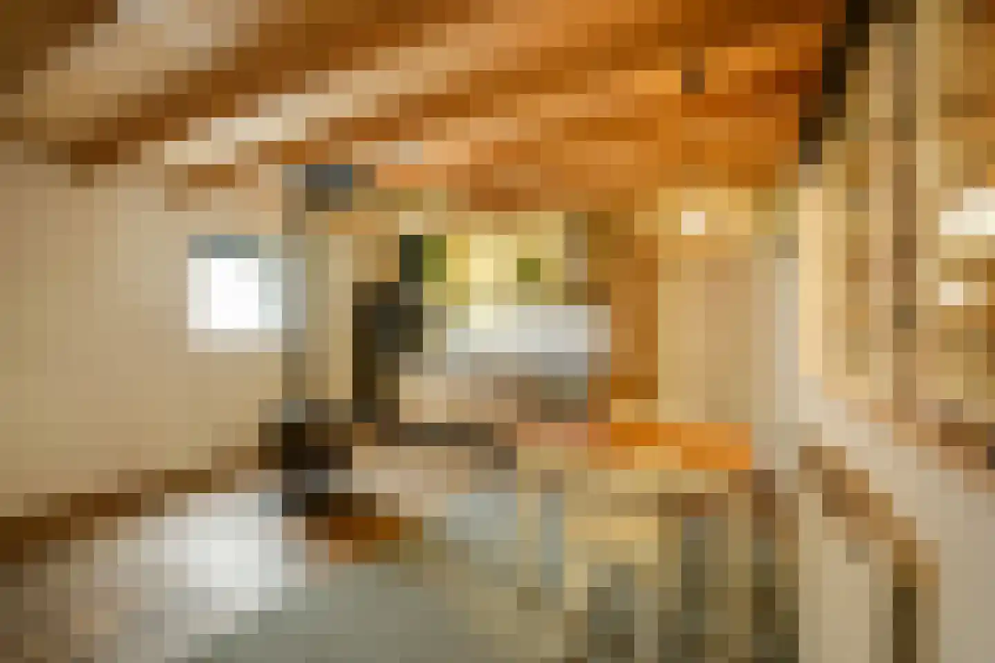 Groenstraat 19 Esbeek thumbnail 86