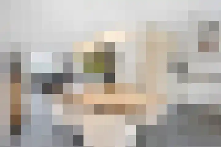 Groenstraat 2 A Eijsden thumbnail 14