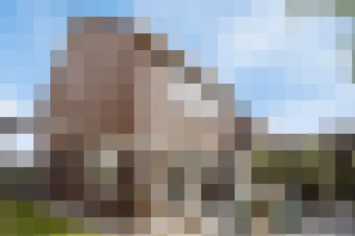 Groenstraat 2 A Eijsden thumbnail 34