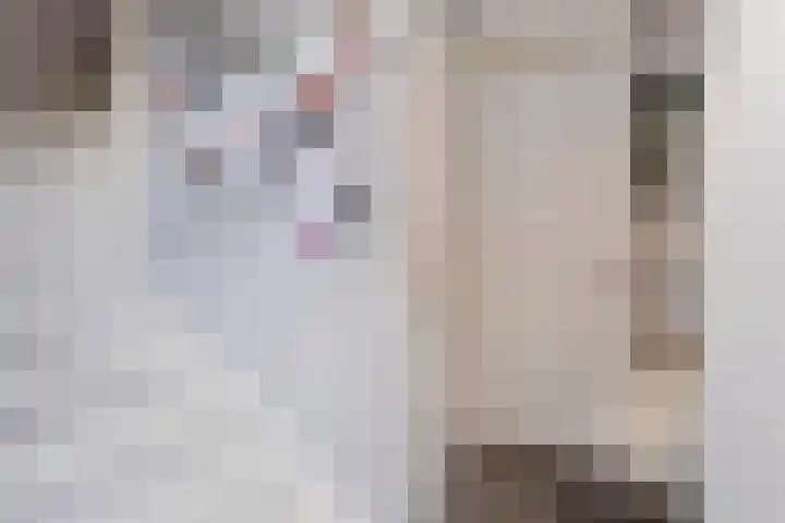 Groenstraat 2 A Eijsden thumbnail 4