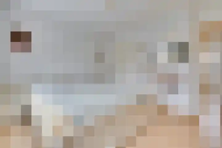 Groenstraat 2 Venlo thumbnail 23