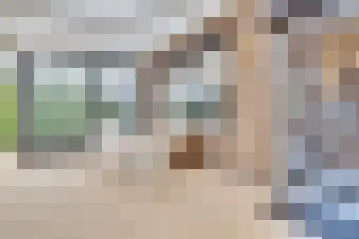 Groenstraat 2 Venlo thumbnail 36
