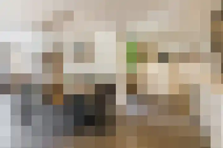 Groenstraat 20 Duizel thumbnail 13
