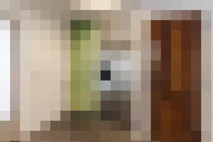 Groenstraat 20 Duizel thumbnail 18