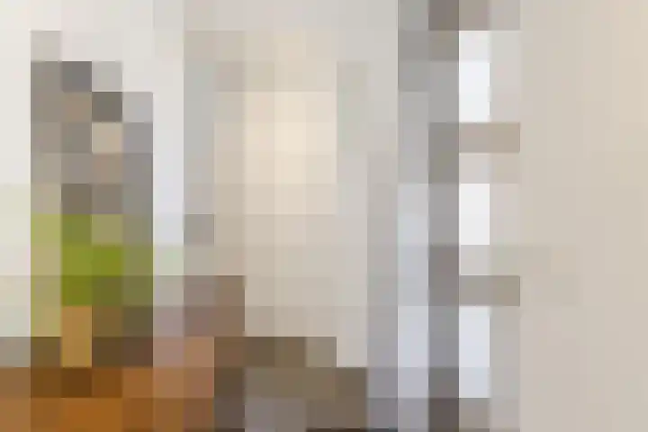 Groenstraat 20 Duizel thumbnail 21