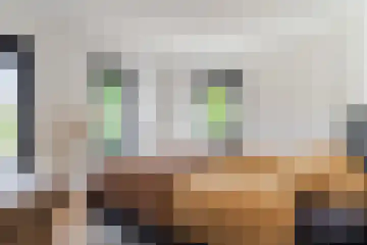 Groenstraat 20 Duizel thumbnail 23