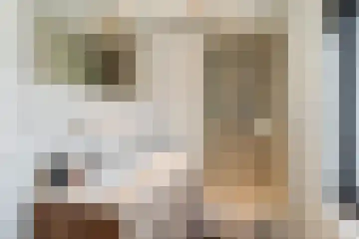 Groenstraat 20 Duizel thumbnail 31