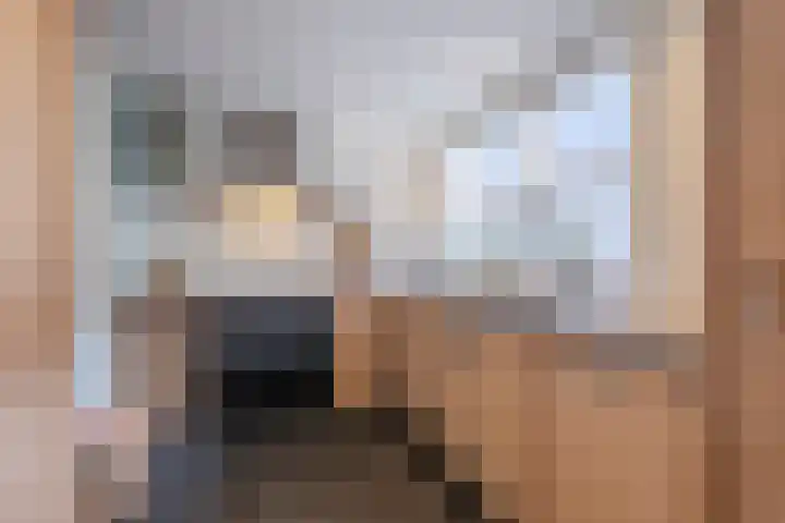 Groenstraat 22 Duizel thumbnail 17