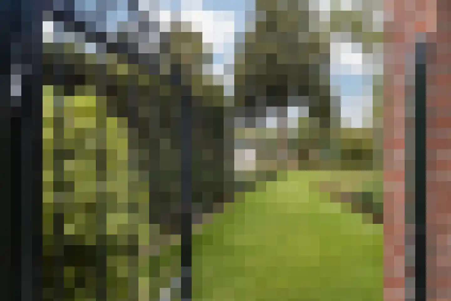 Groenstraat 23 Munstergeleen thumbnail 60