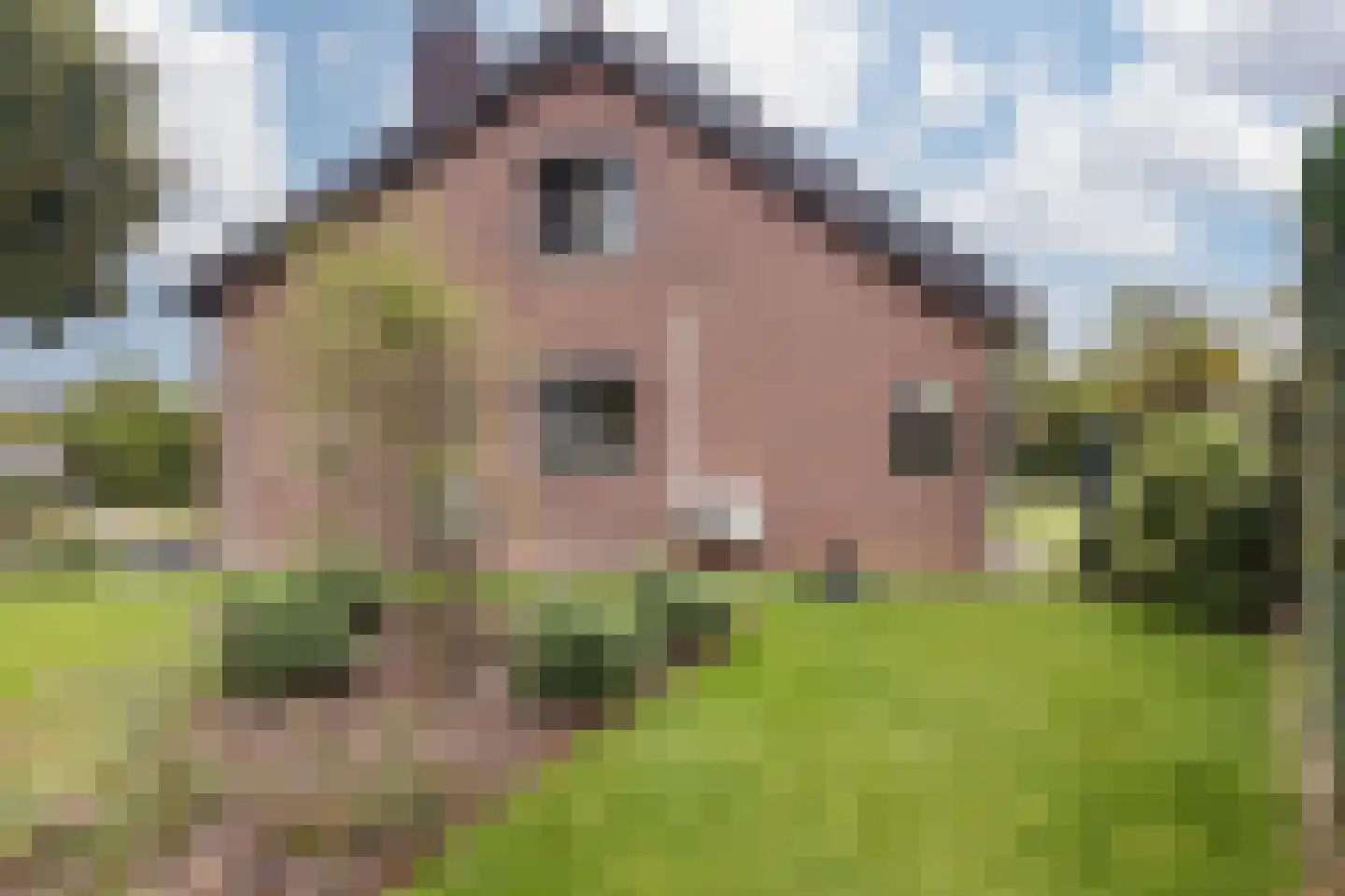 Groenstraat 23 Munstergeleen thumbnail 64