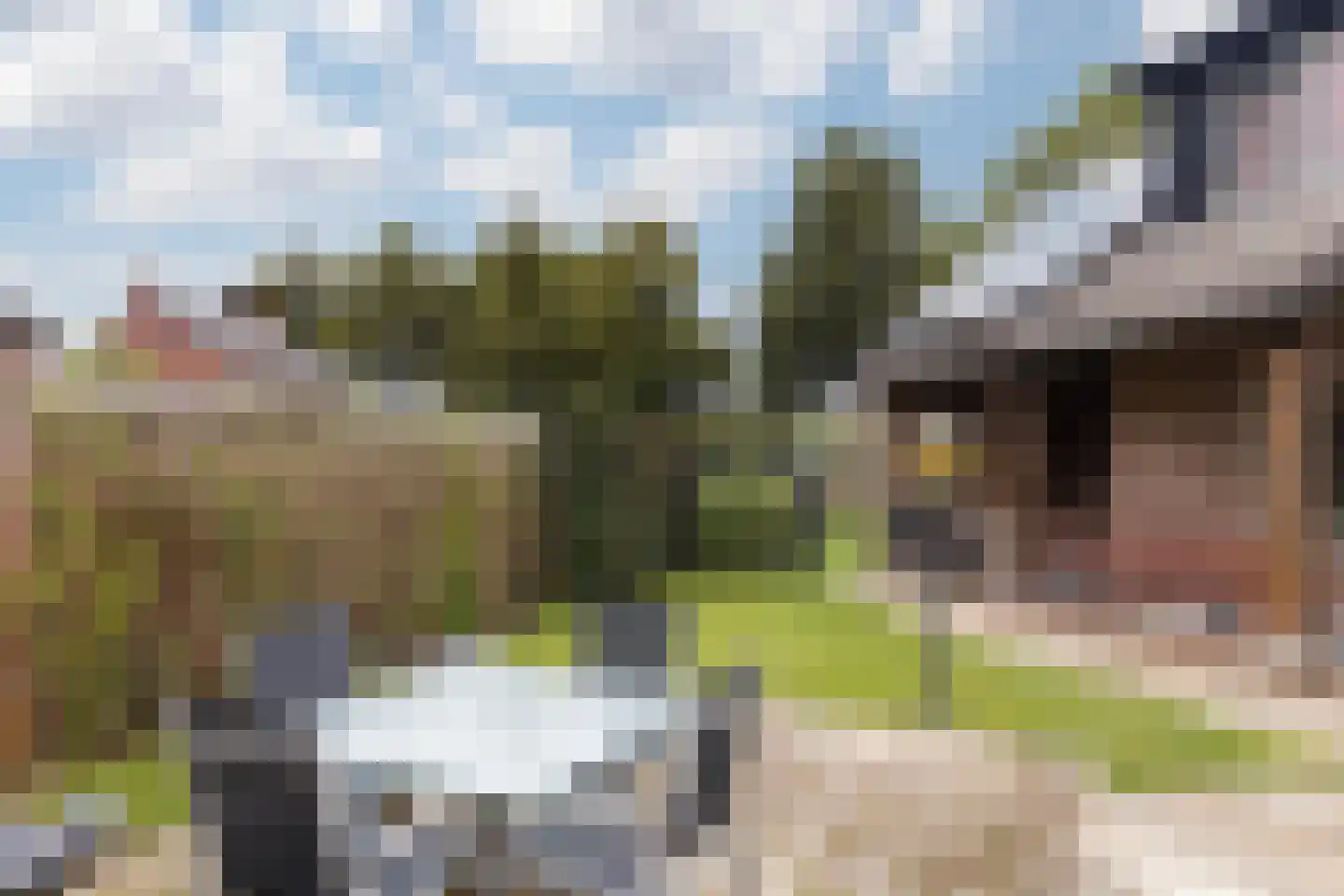 Groenstraat 23 Munstergeleen thumbnail 68