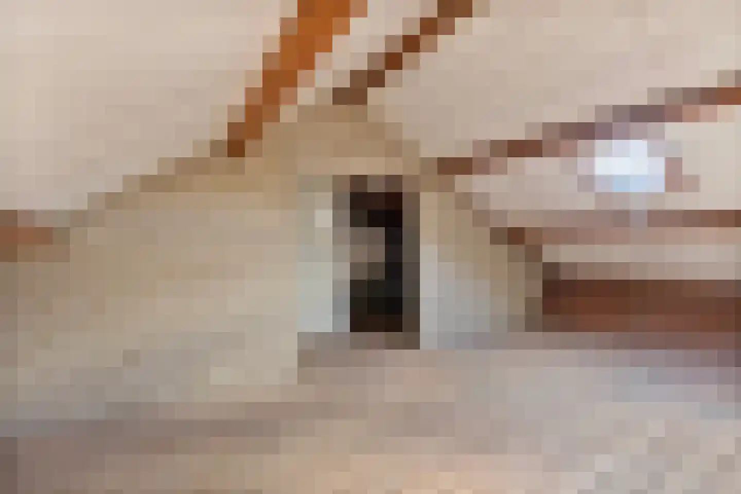 Groenstraat 234 Venlo thumbnail 29