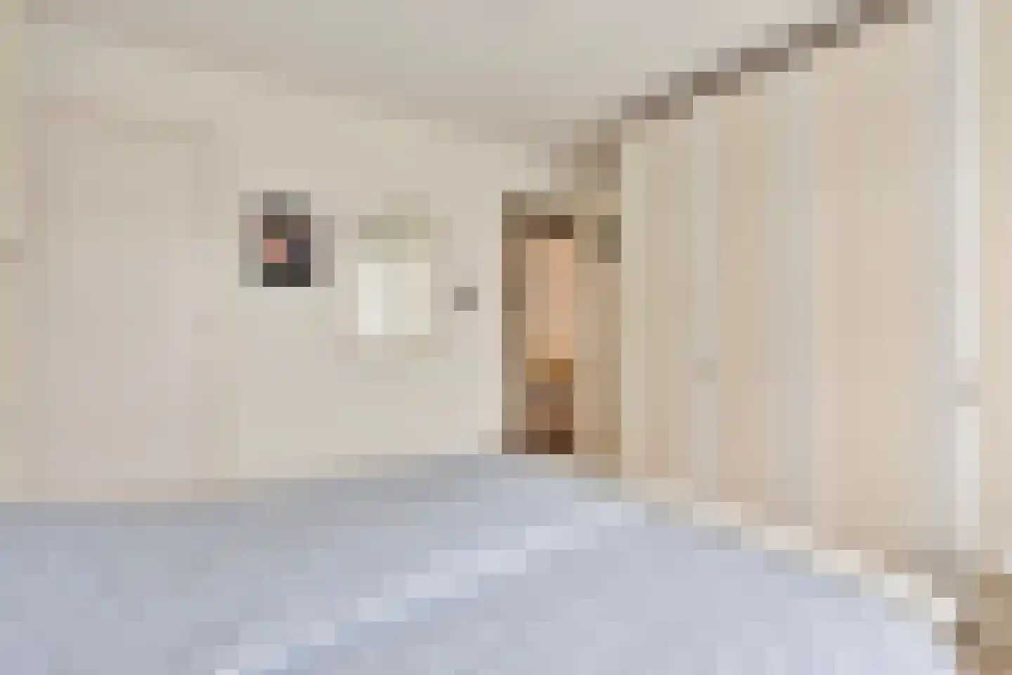 Groenstraat 236 Venlo thumbnail 11