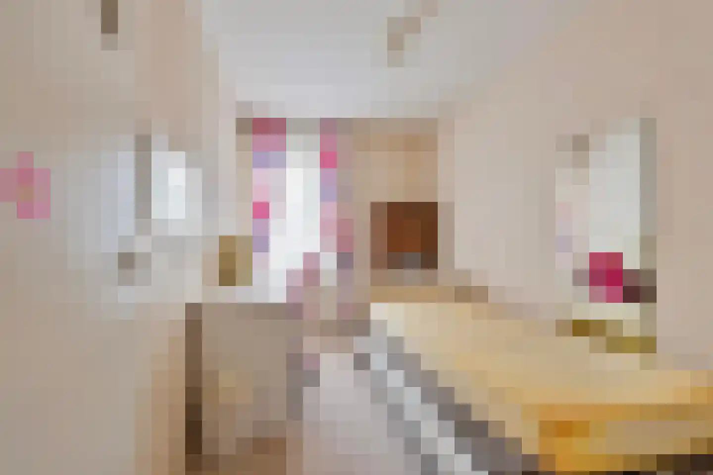 Groenstraat 236 Venlo thumbnail 17