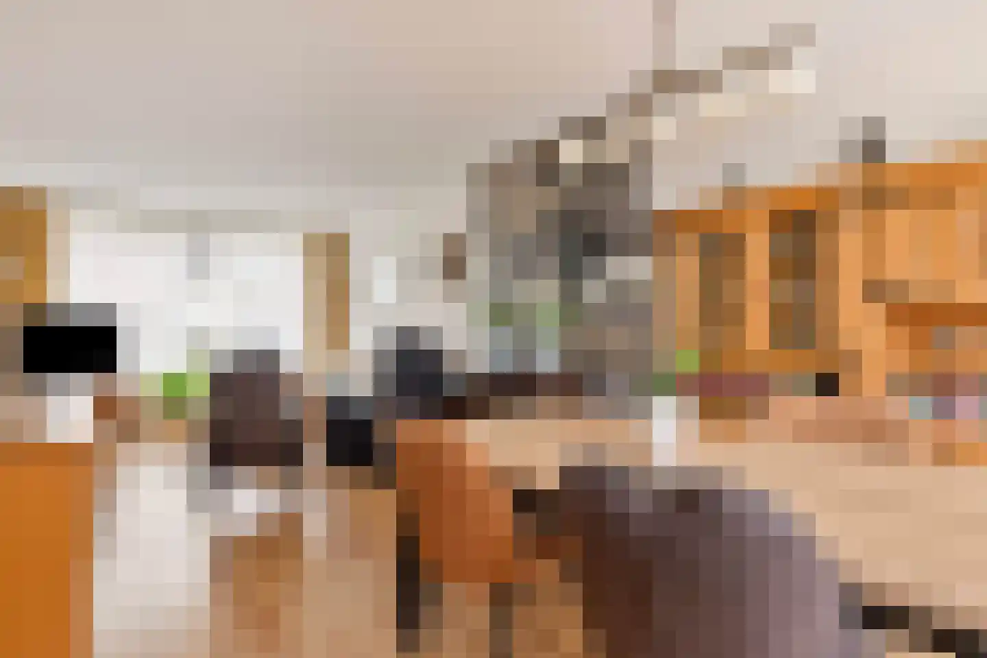 Groenstraat 236 Venlo thumbnail 4