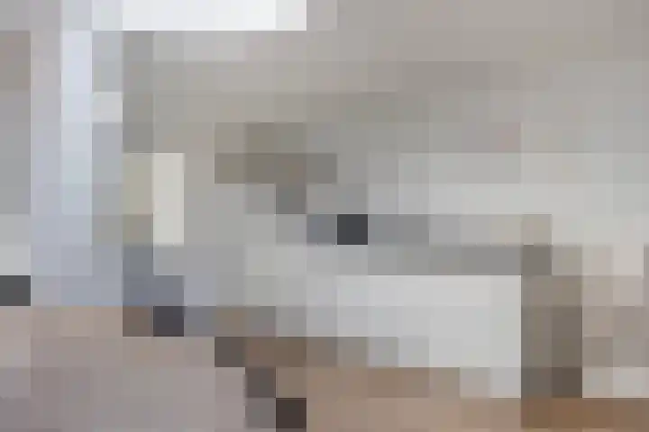 Groenstraat 24 Tilburg thumbnail 13