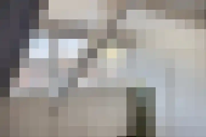 Groenstraat 24 Tilburg thumbnail 38