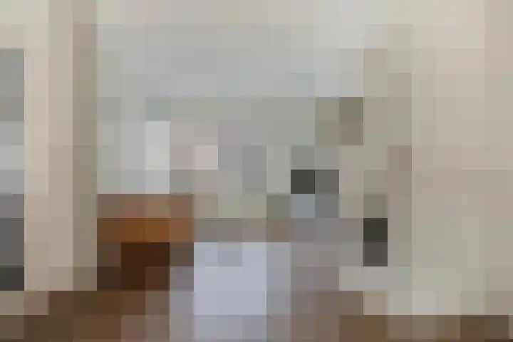 Groenstraat 24 Tilburg thumbnail 4
