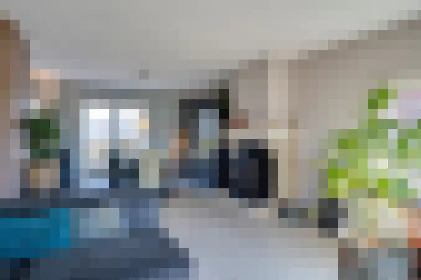 Groenstraat 26 Linne thumbnail 14