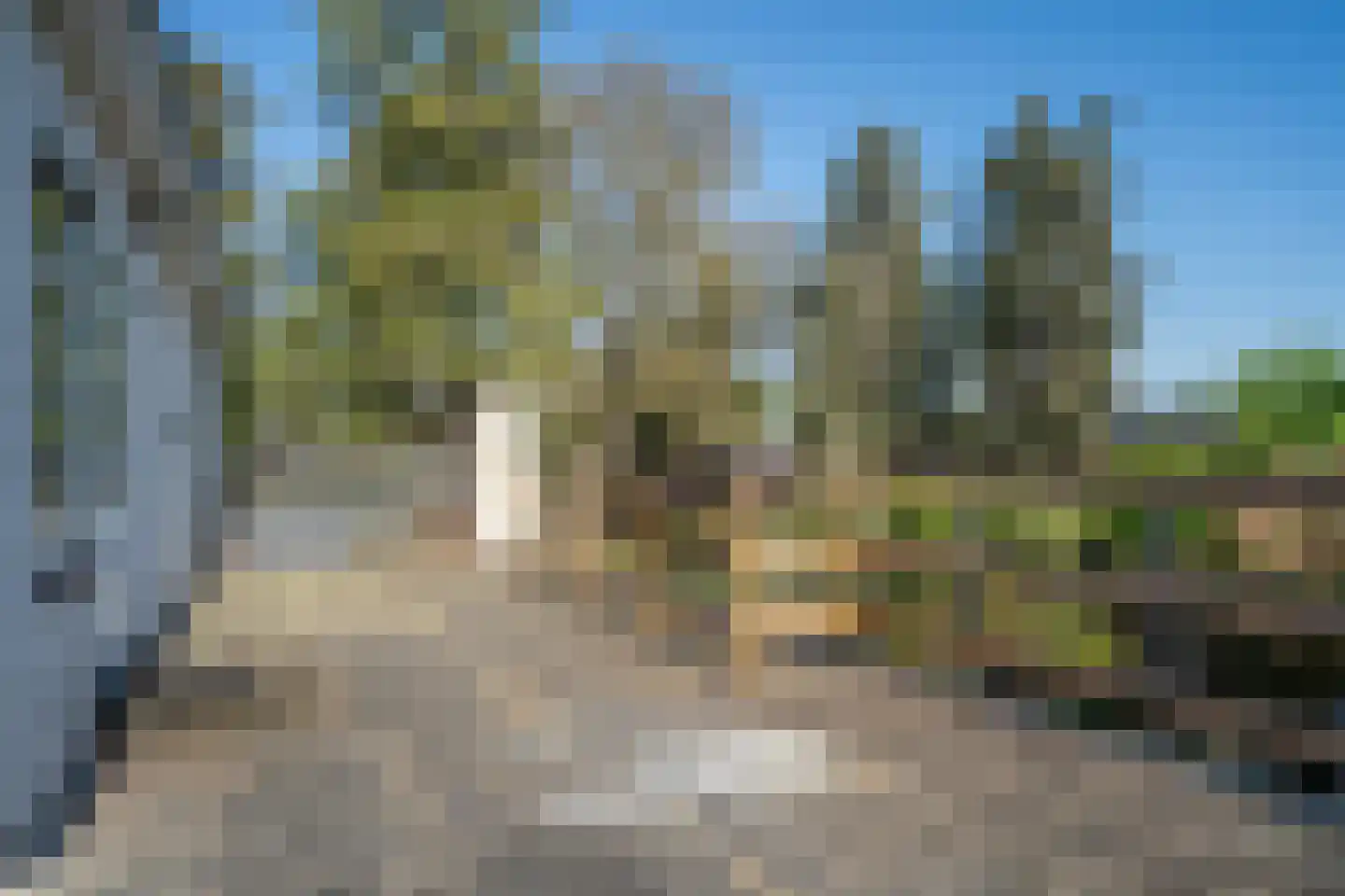 Groenstraat 26 Linne thumbnail 21