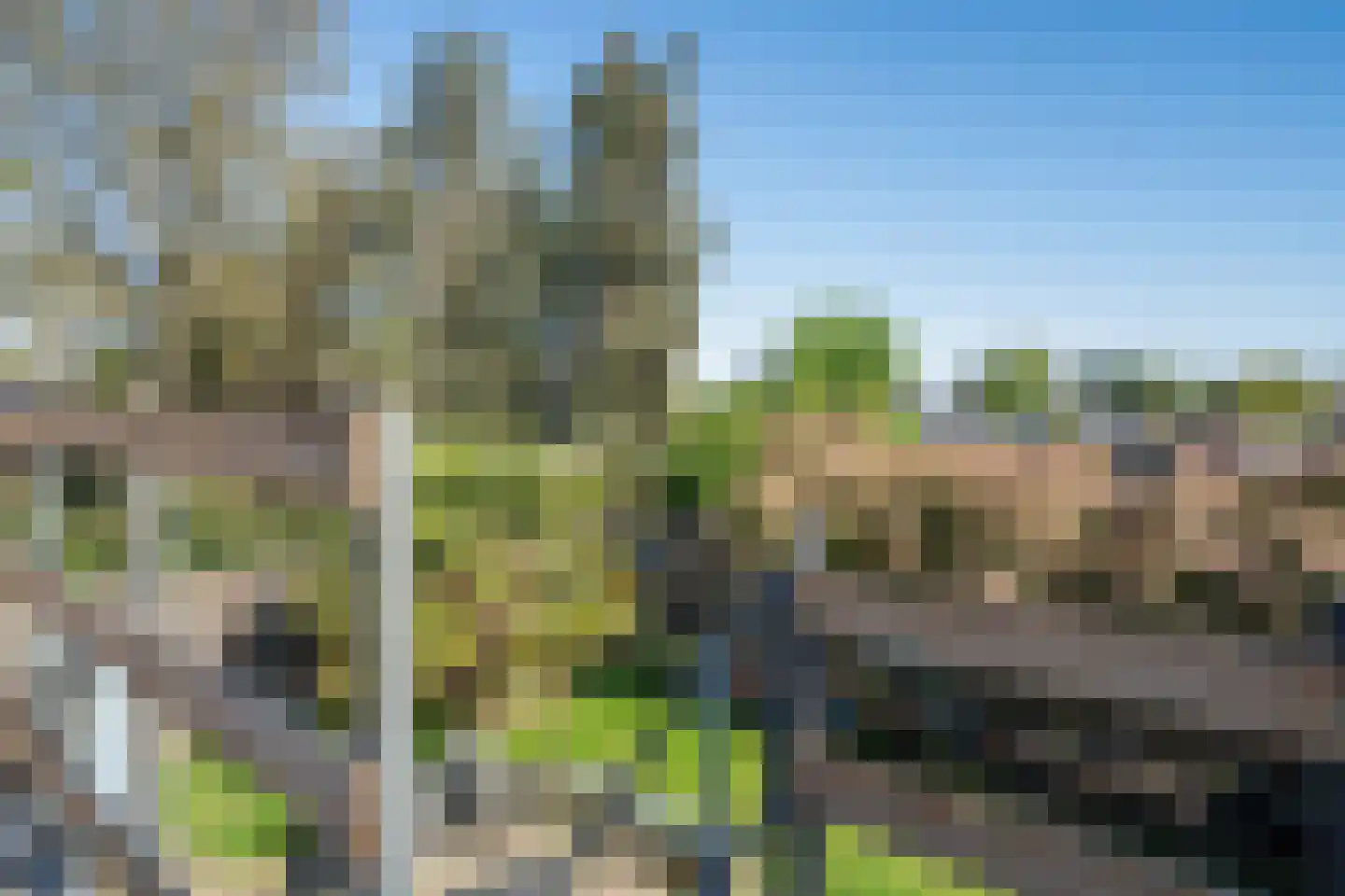 Groenstraat 26 Linne thumbnail 22